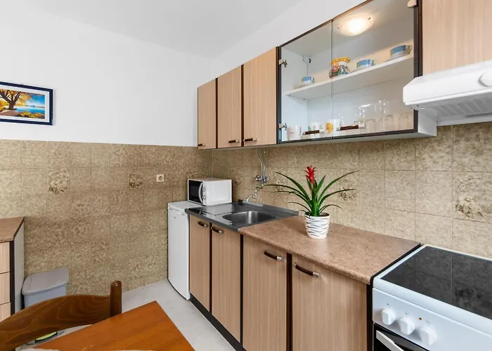 Apartman Feniks