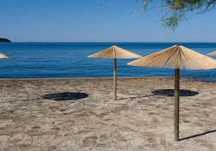 Διαμέρισμα Feniks *